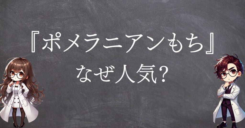 ポメラニアンもちなぜ人気サムネ